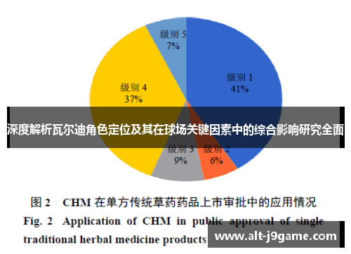 深度解析瓦尔迪角色定位及其在球场关键因素中的综合影响研究全面